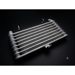 Radiateur huile pour Ducati 748RS et 996RS